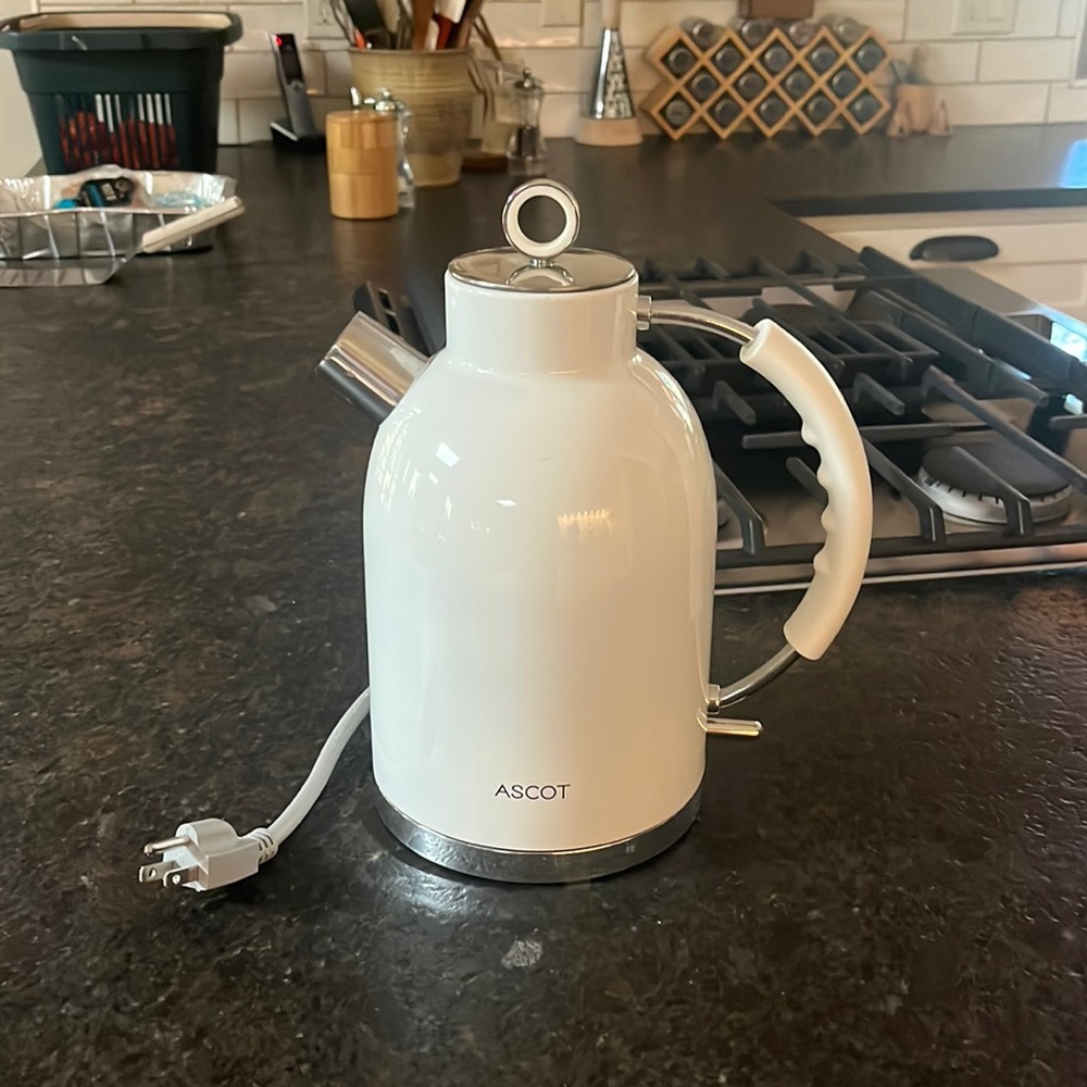 Electric tea kettle